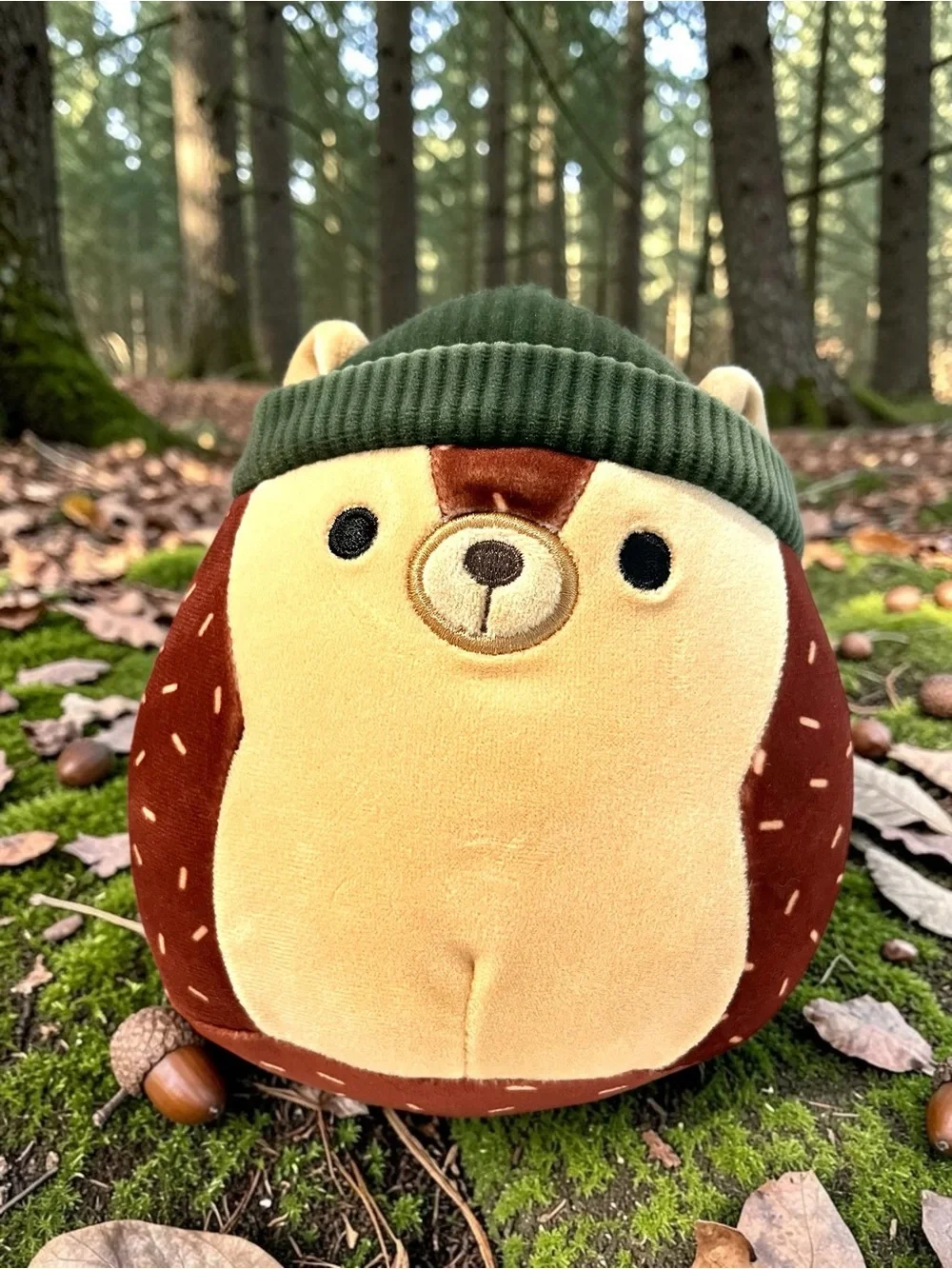 Squishmallows Woodland Lot 3 Mac Acorn Jason Donkey Hans Hedgehog NWT Plush 5”